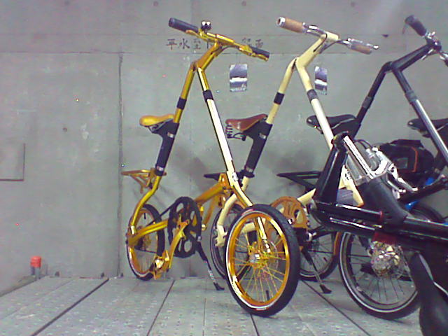 Golden Strida1.jpg